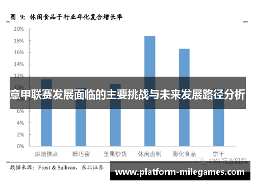 意甲联赛发展面临的主要挑战与未来发展路径分析